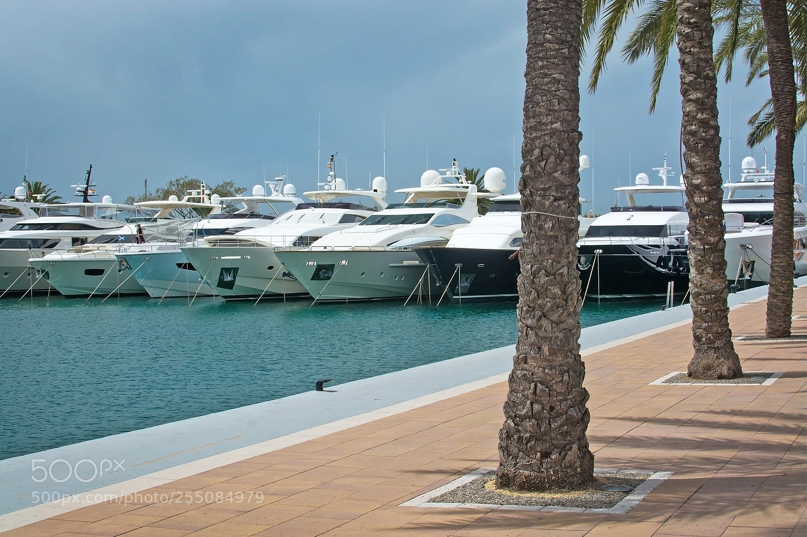 Nikon D7100 sample photo. Luxury yachts in puerto photography
