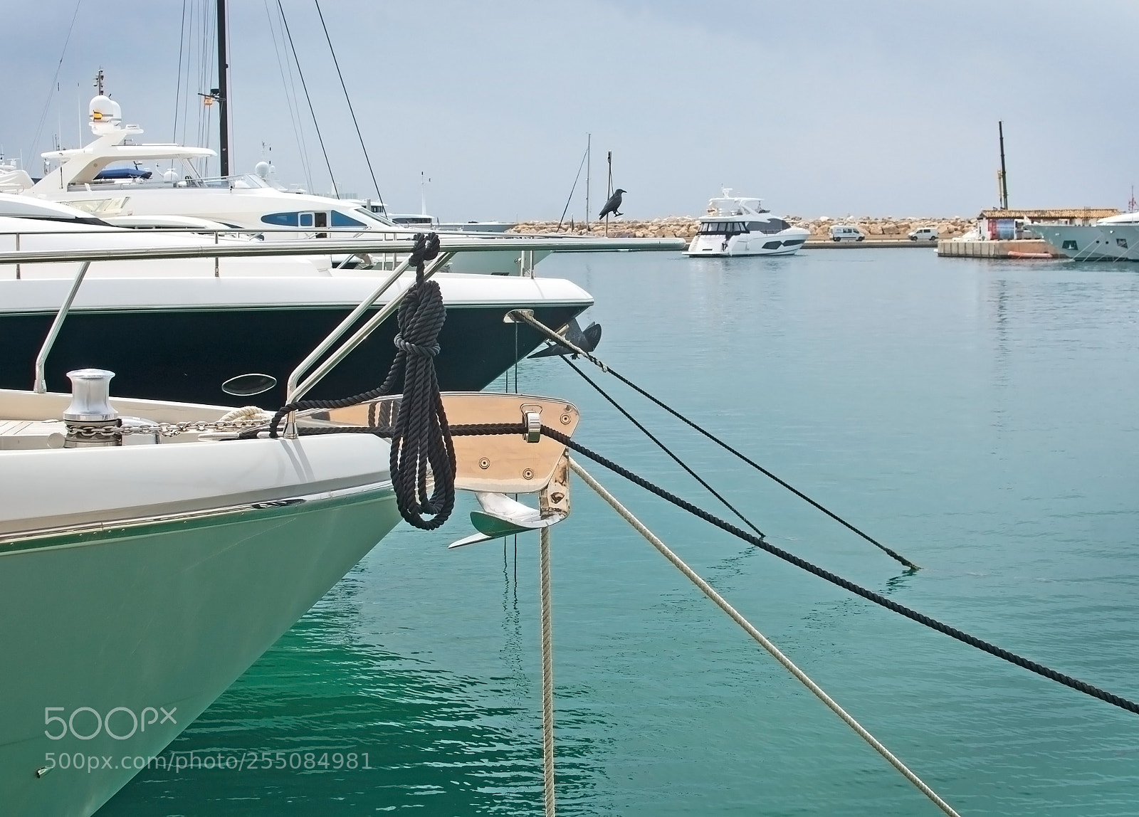 Nikon D7100 sample photo. Luxury yachts in puerto photography