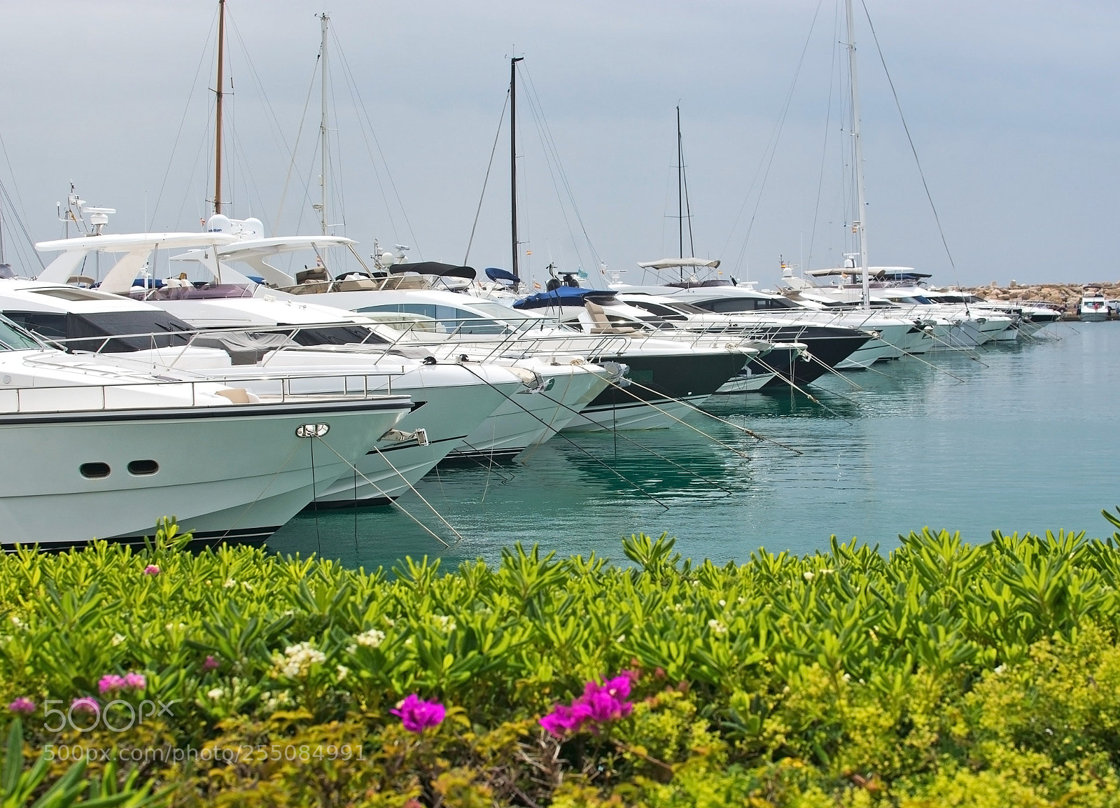 Nikon D7100 sample photo. Luxury yachts in puerto photography