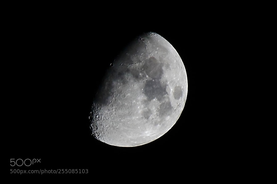Canon EOS 1000D (EOS Digital Rebel XS / EOS Kiss F) sample photo. Moon of the day photography