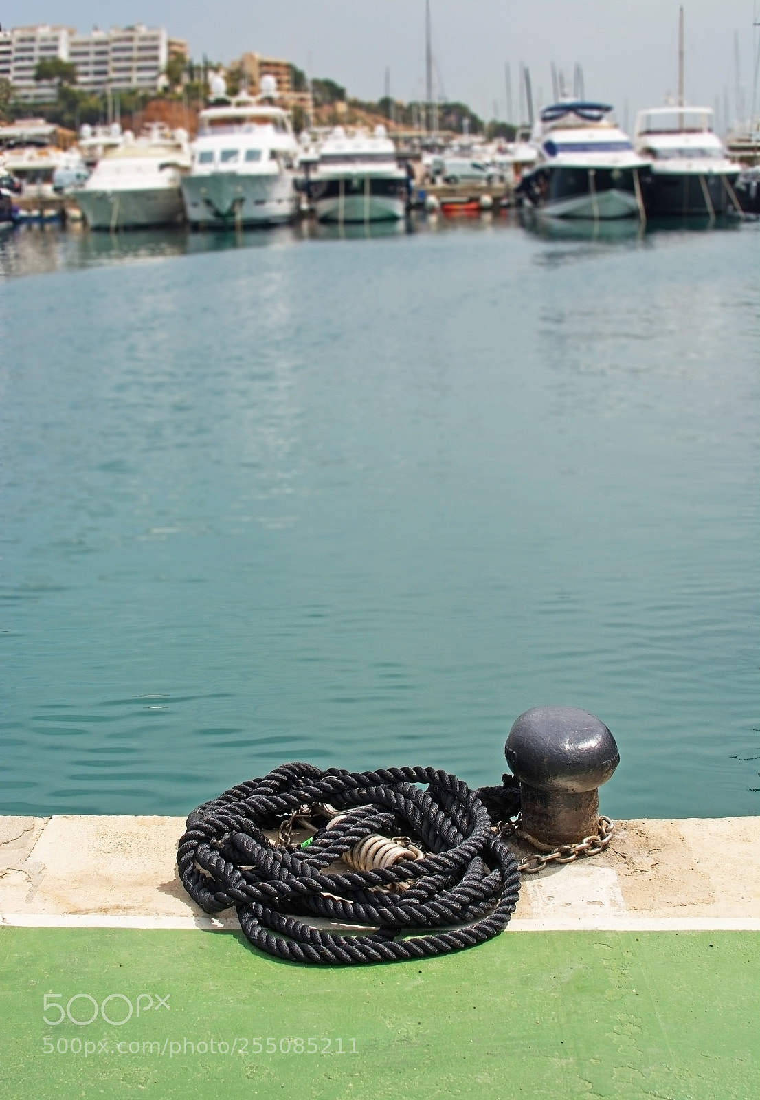 Nikon D7100 sample photo. Black mooring knob and photography