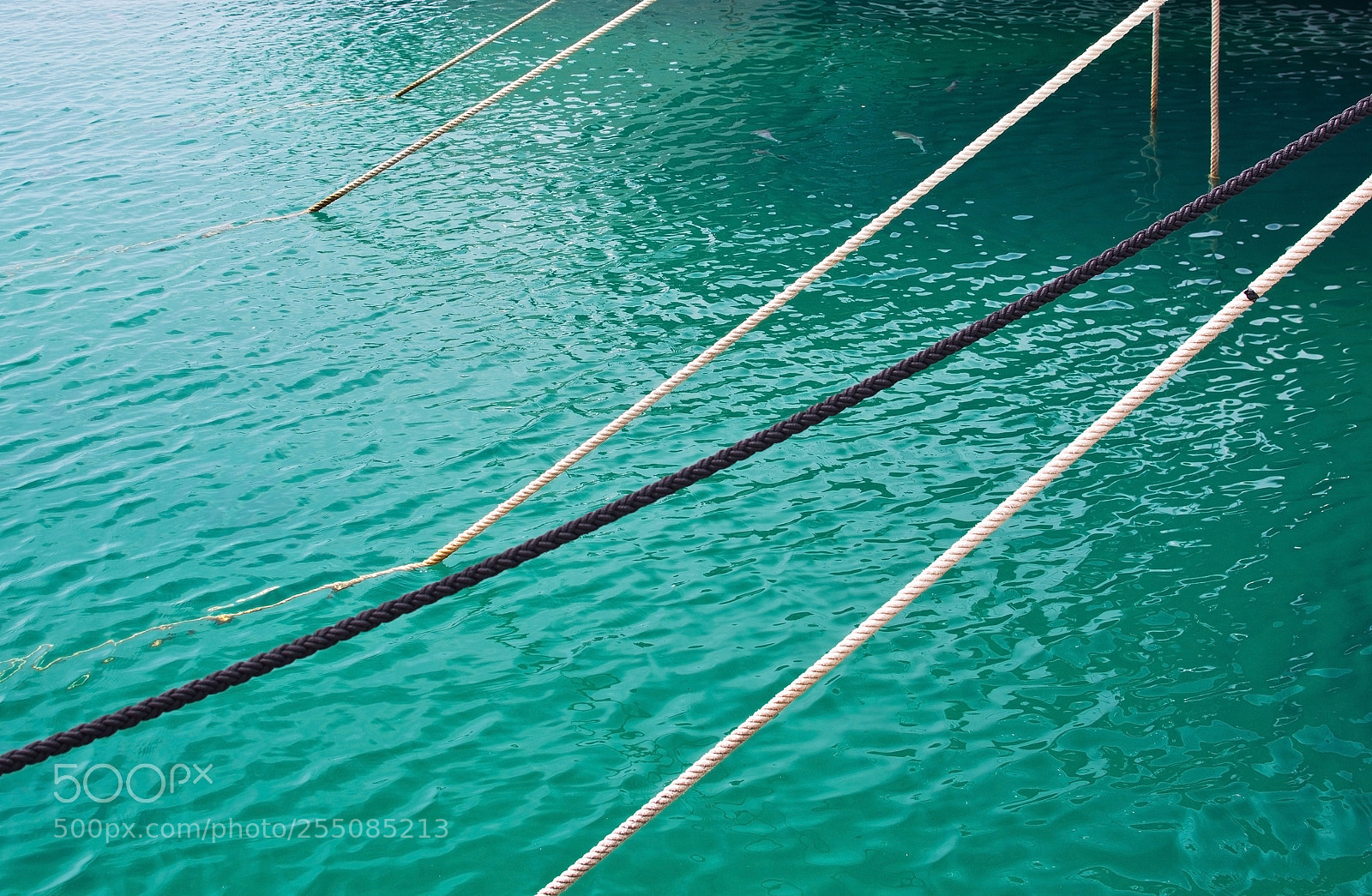 Nikon D7100 sample photo. Mooring ropes against mediterranean photography