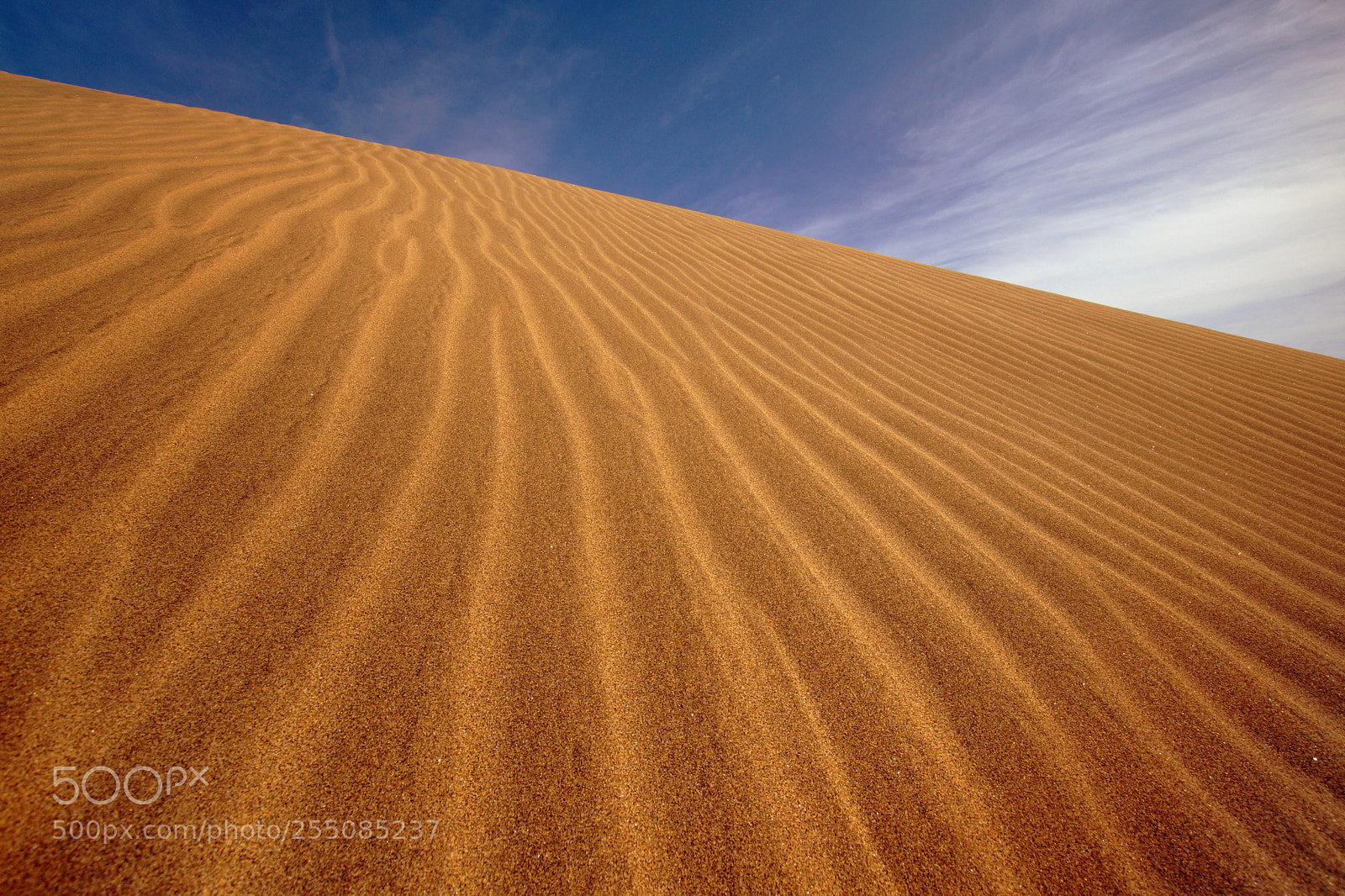 Sony SLT-A65 (SLT-A65V) sample photo. Maspalomas photography