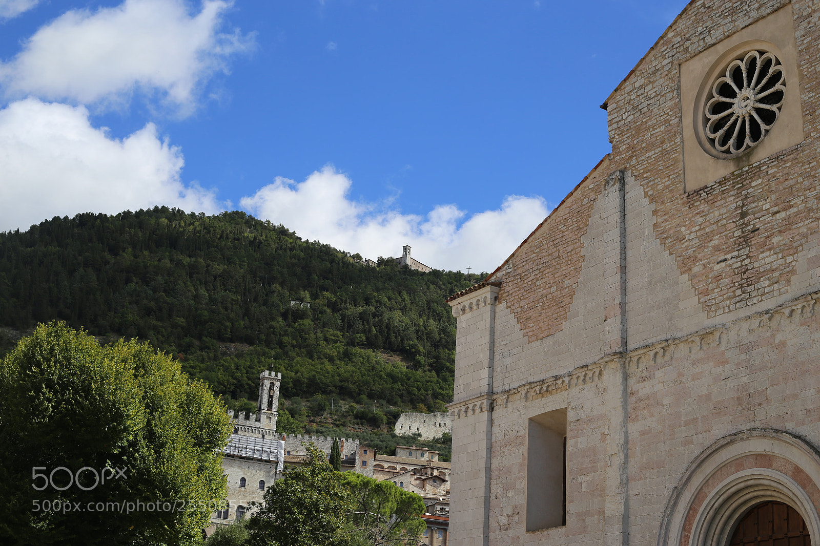 Canon EOS 6D + Canon EF 50mm F1.8 II sample photo. Trip to umbria tuscany photography