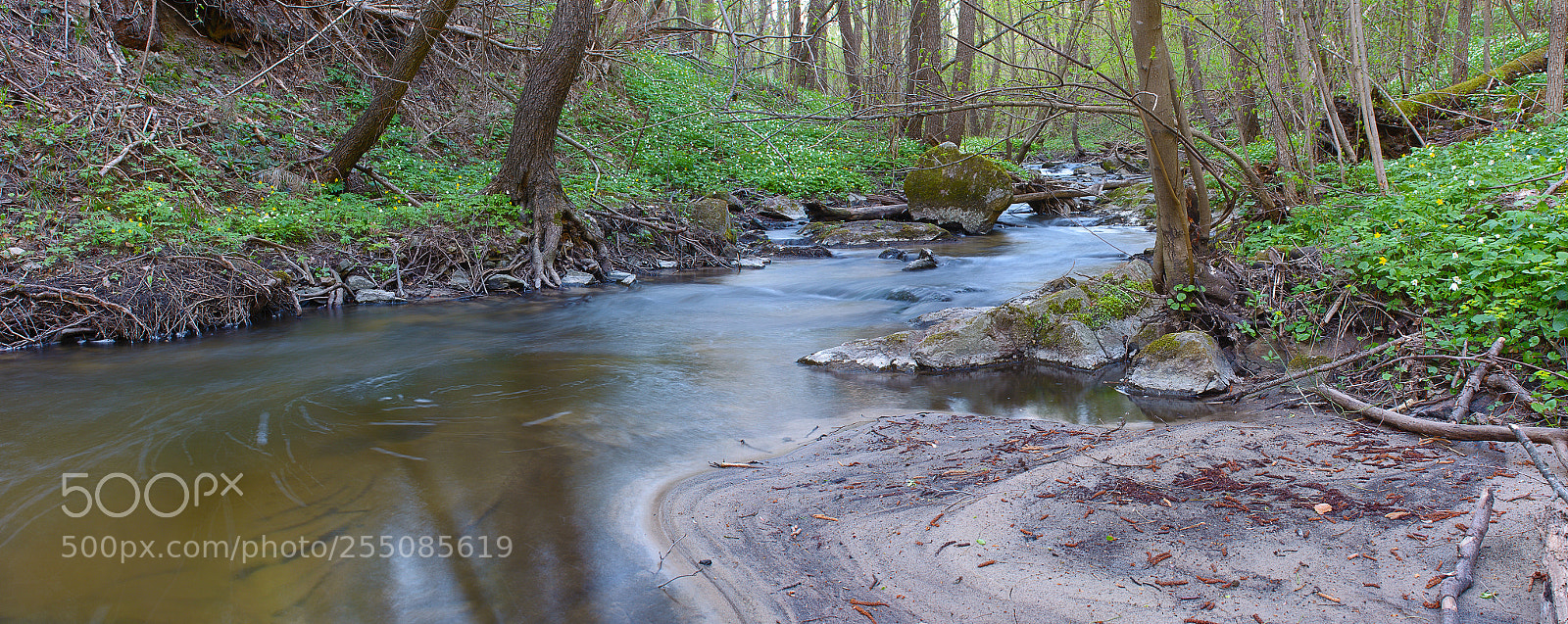 Nikon D7100 sample photo. Spring river photography