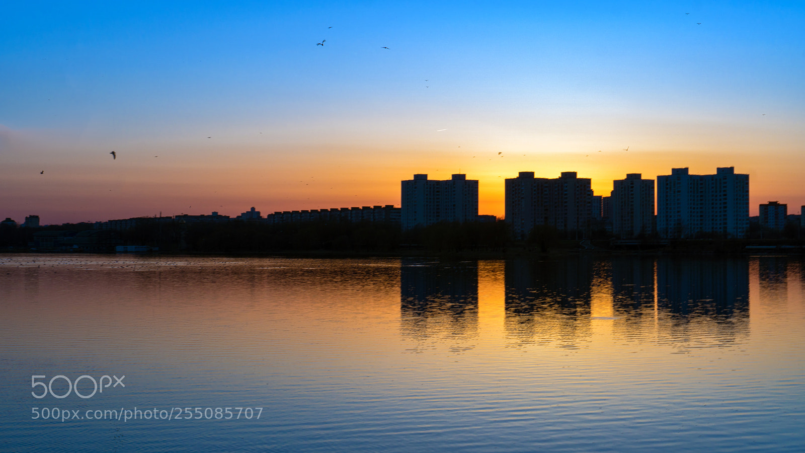 Sony a6300 sample photo. Sunset over lake in photography