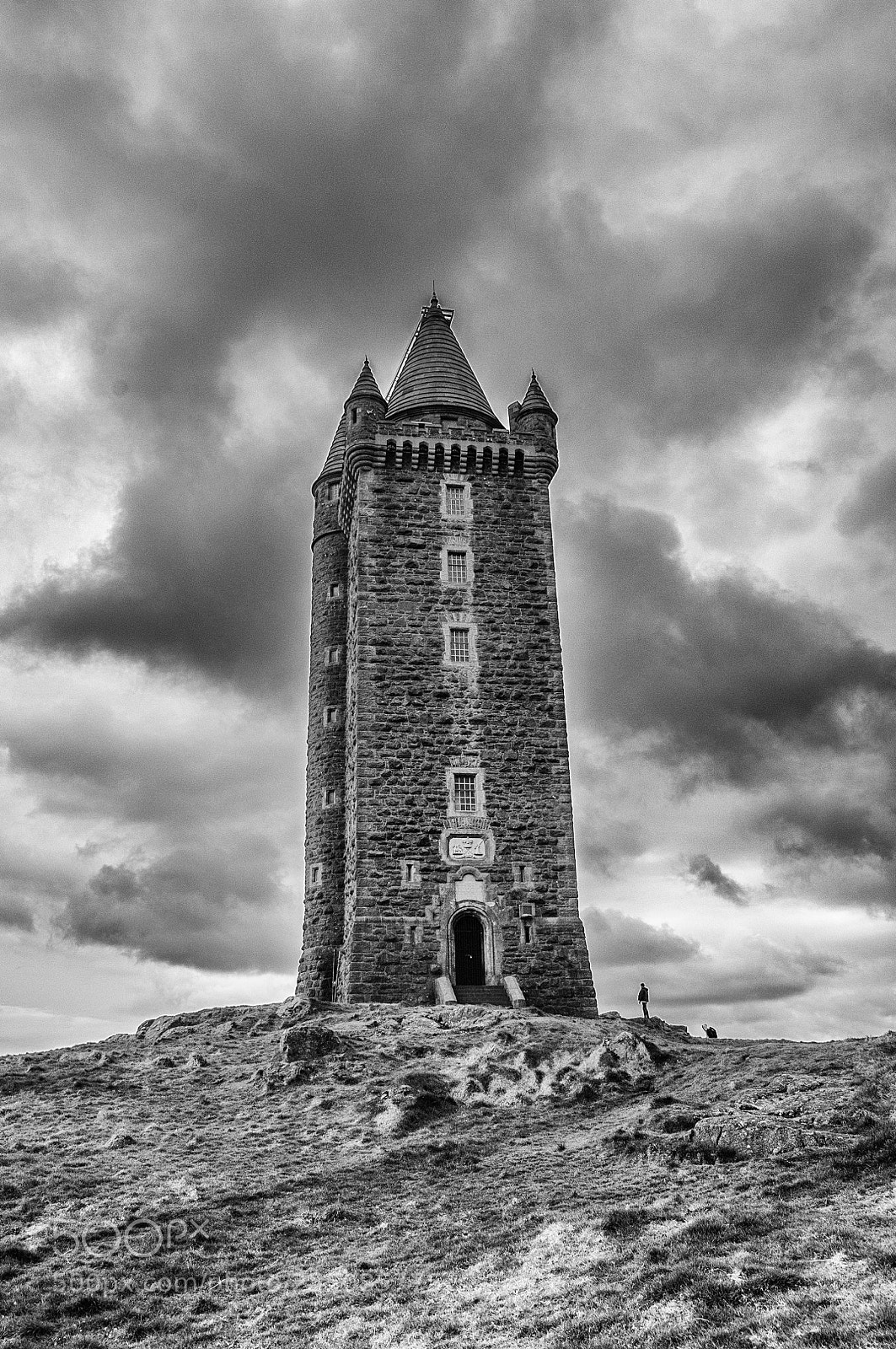 Nikon D300S sample photo. Scrabo tower photography