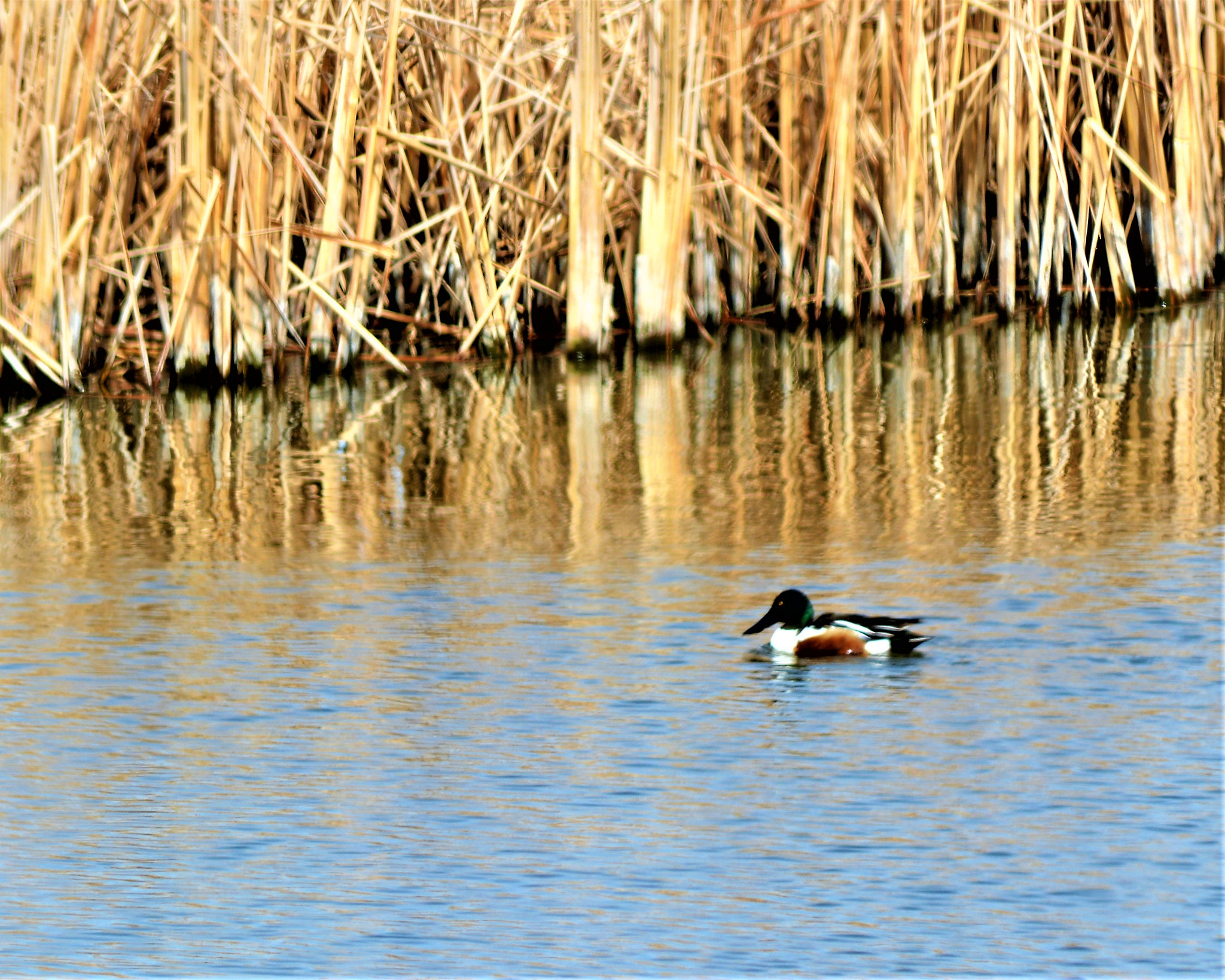 Nikon D5200 sample photo. Dsc photography