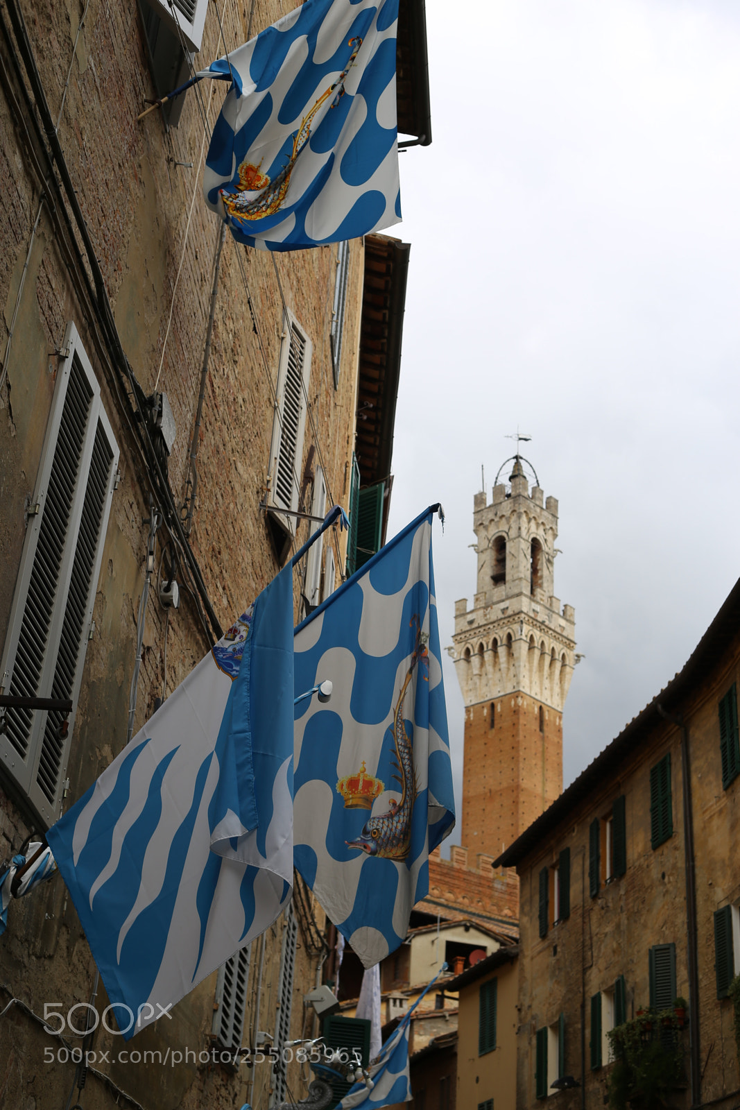 Canon EOS 6D + Canon EF 50mm F1.8 II sample photo. Trip to umbria tuscany photography
