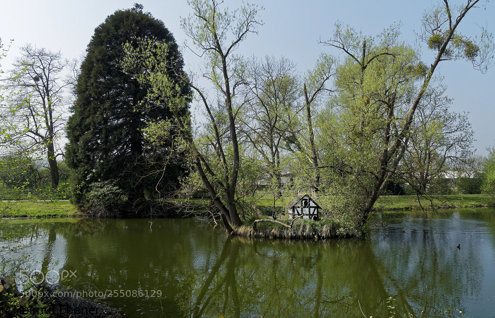 Olympus OM-D E-M5 sample photo. Sz-salder, am schloss teich photography