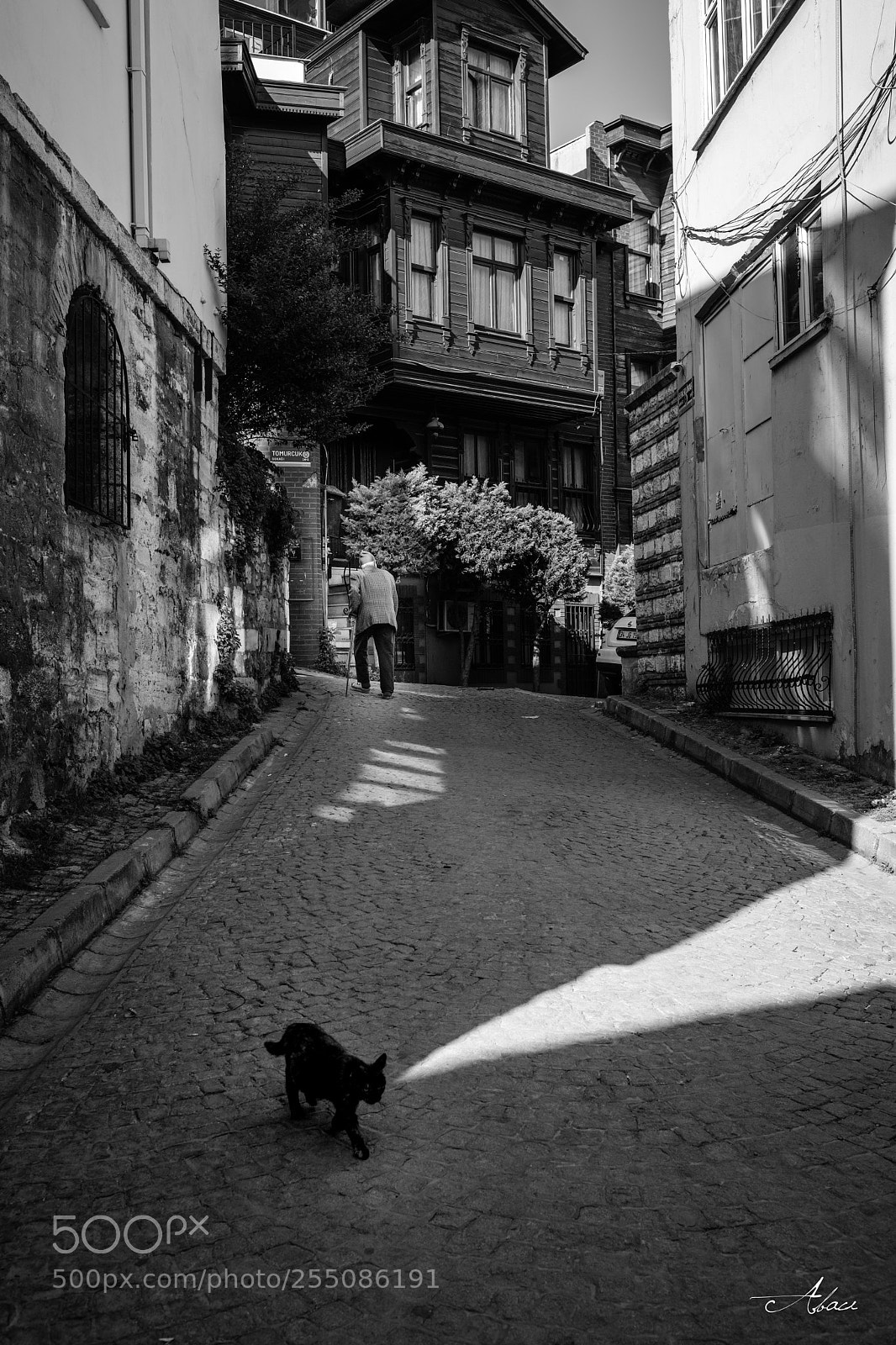 Fujifilm X-T2 sample photo. Sokak taki kedi ve photography