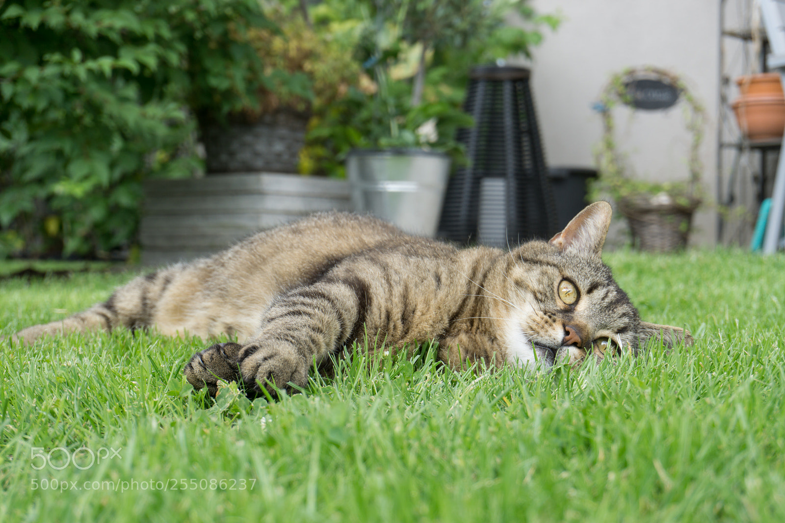 Sony a6000 sample photo. After a round of photography