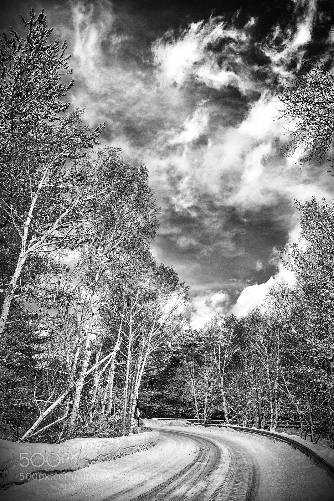Nikon D7100 sample photo. B&w photography