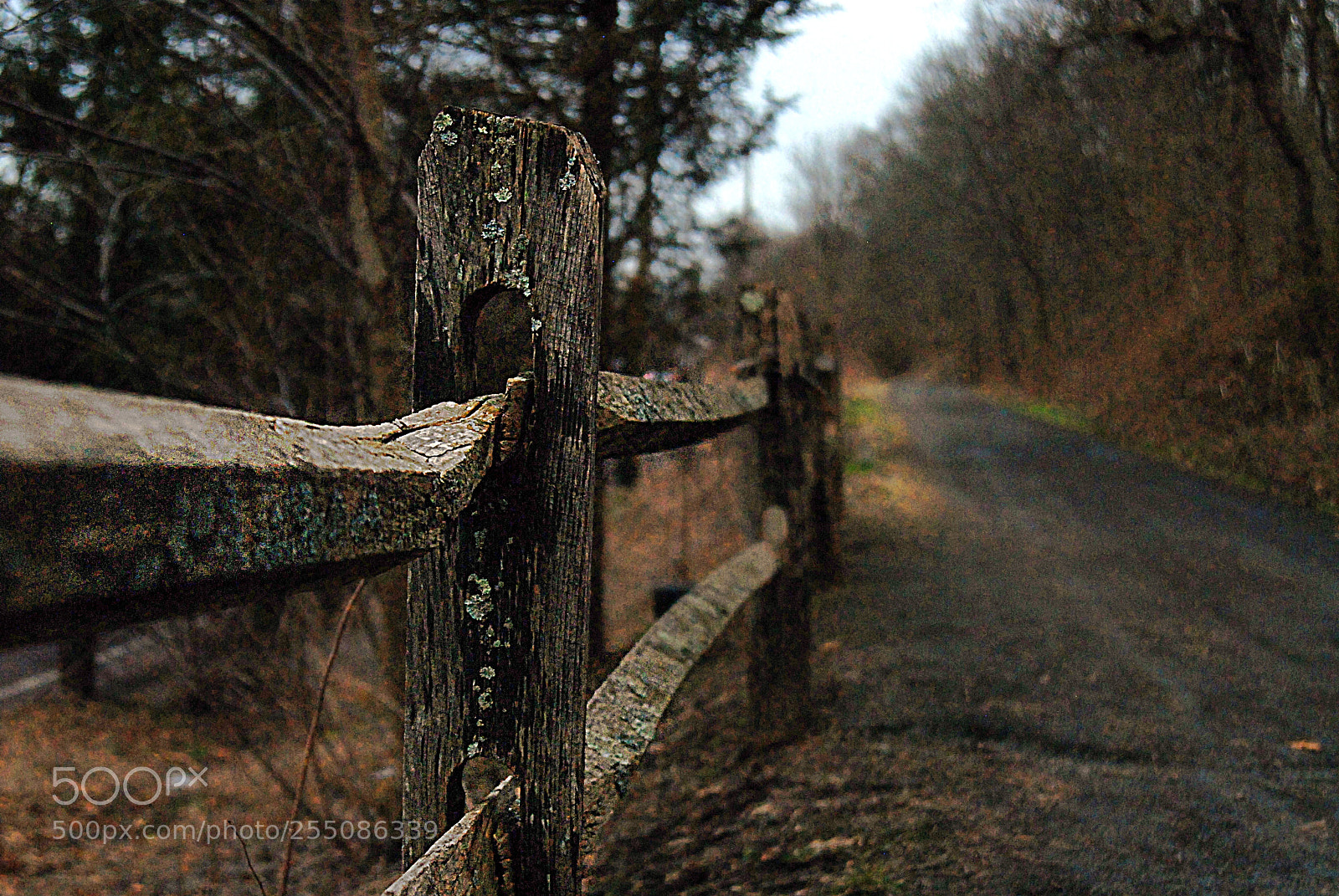 Nikon D200 sample photo. Road to anywhere photography