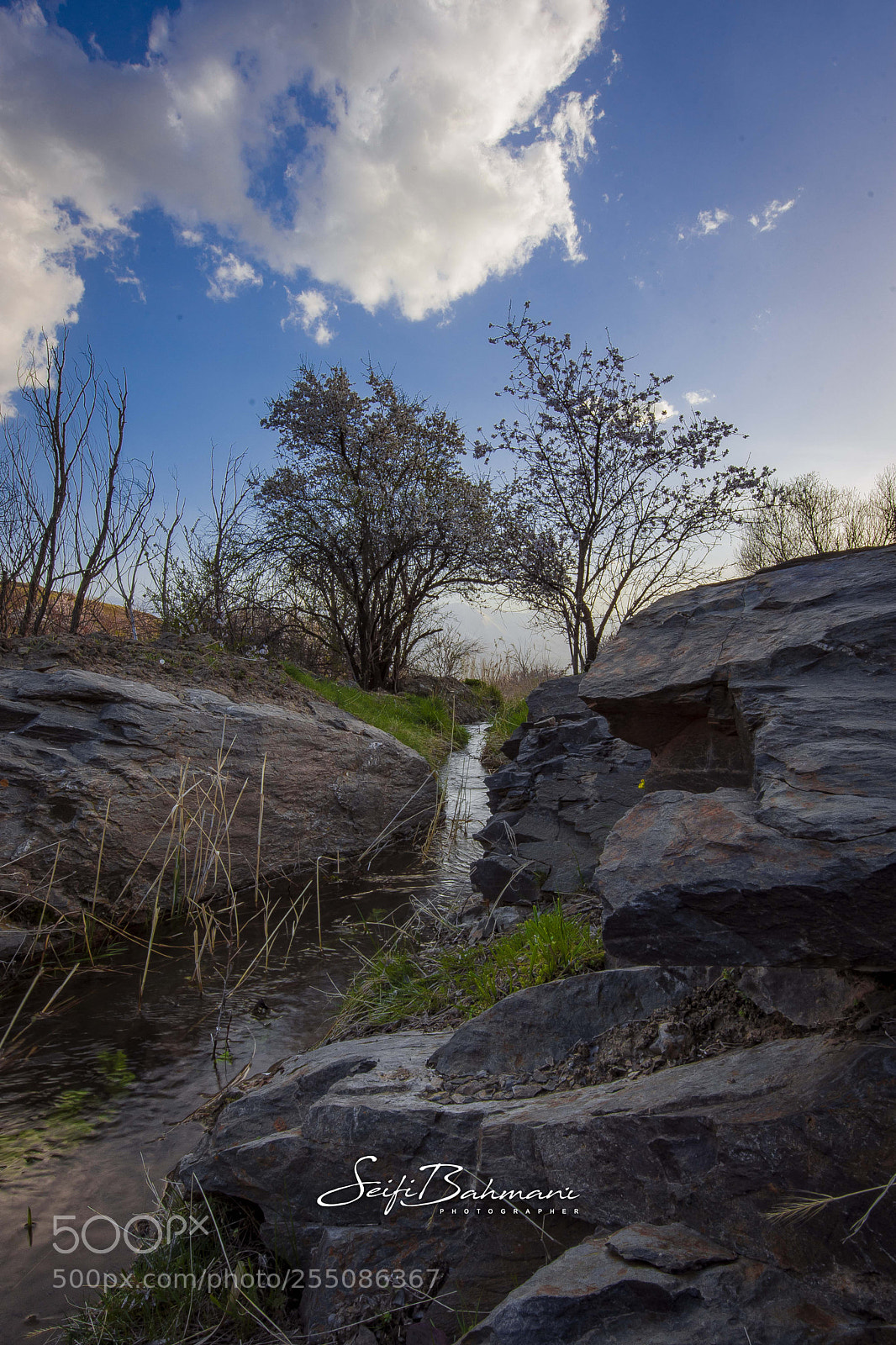 Nikon D7200 sample photo. Untitled photography