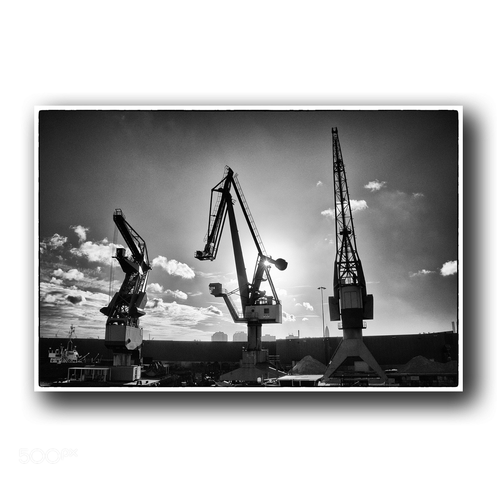 Nikon D5500 sample photo. In the port of photography