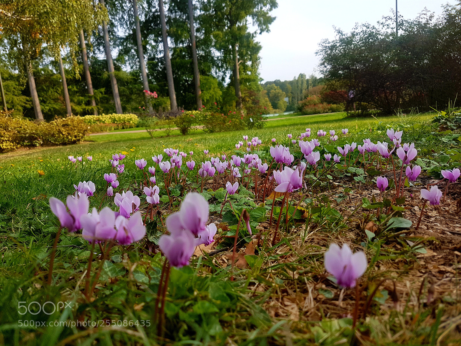 Samsung Galaxy S7 sample photo. Untitled photography