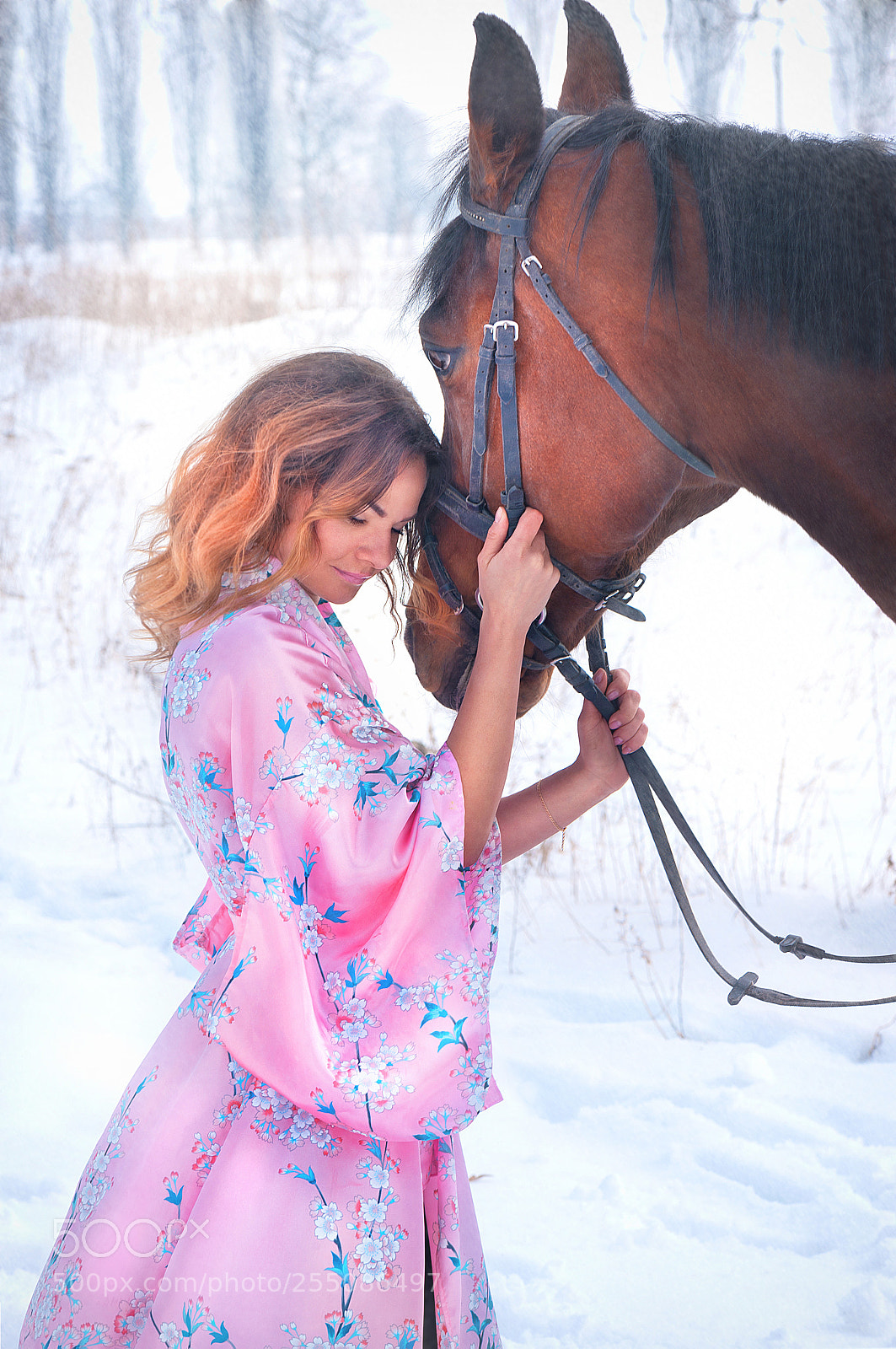 Nikon D3 sample photo. In the snow photography