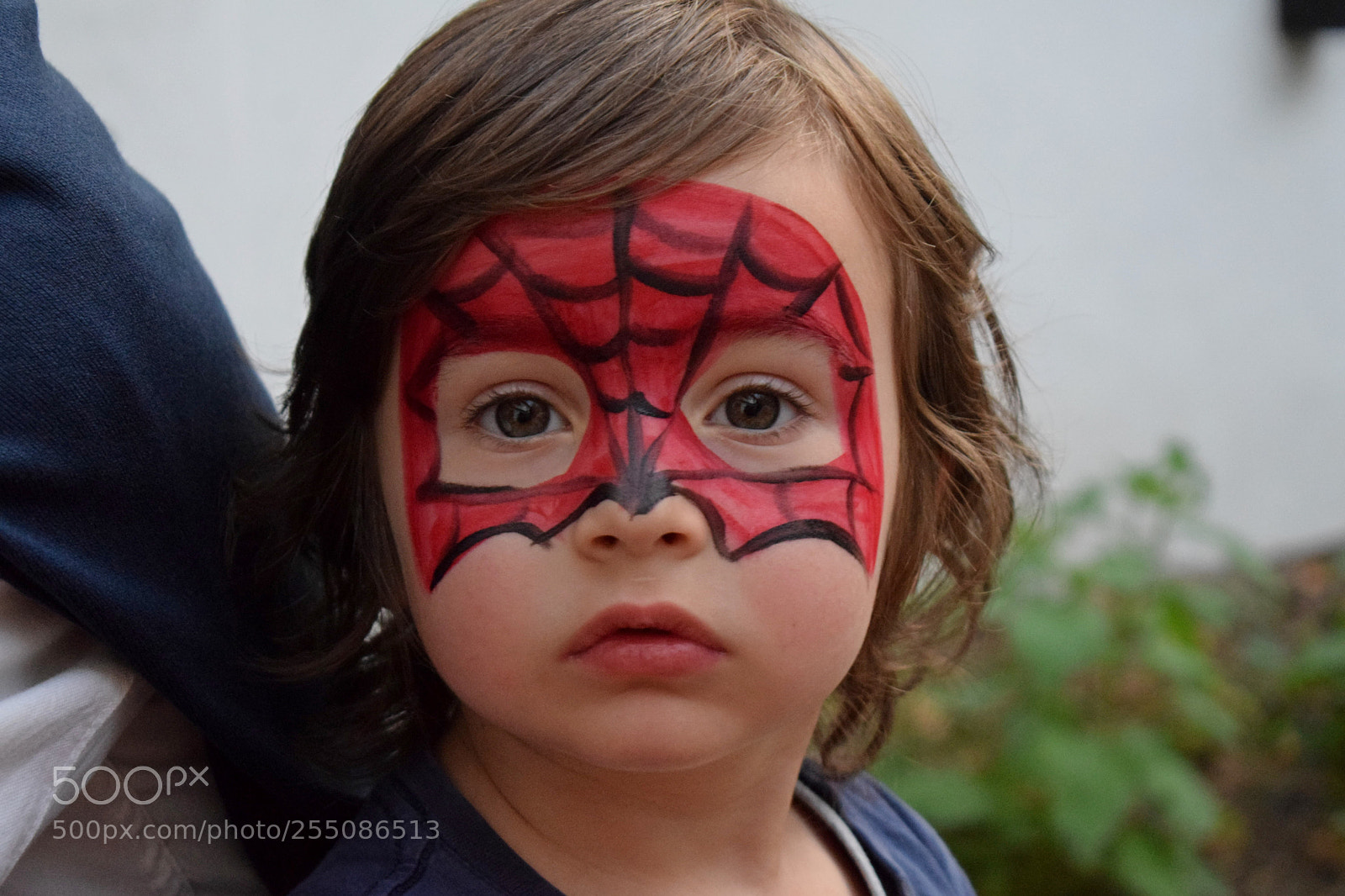 Nikon D3300 sample photo. Dsc photography