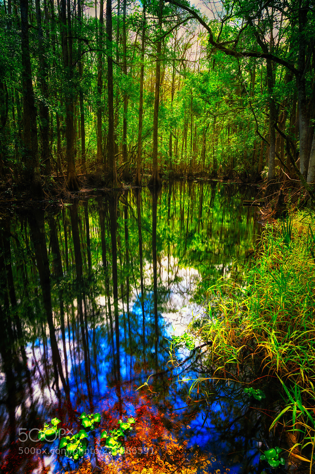 Sony a7 sample photo. Quagmire - job 30:16-31 photography