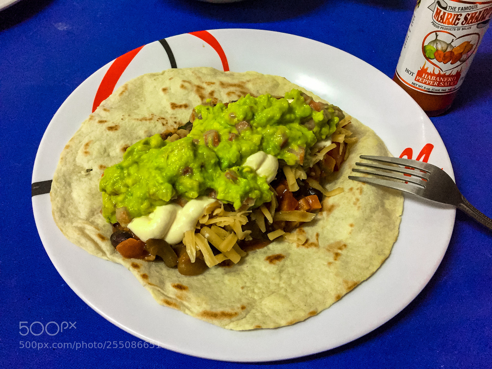 Apple iPhone 6 sample photo. Burrito photography