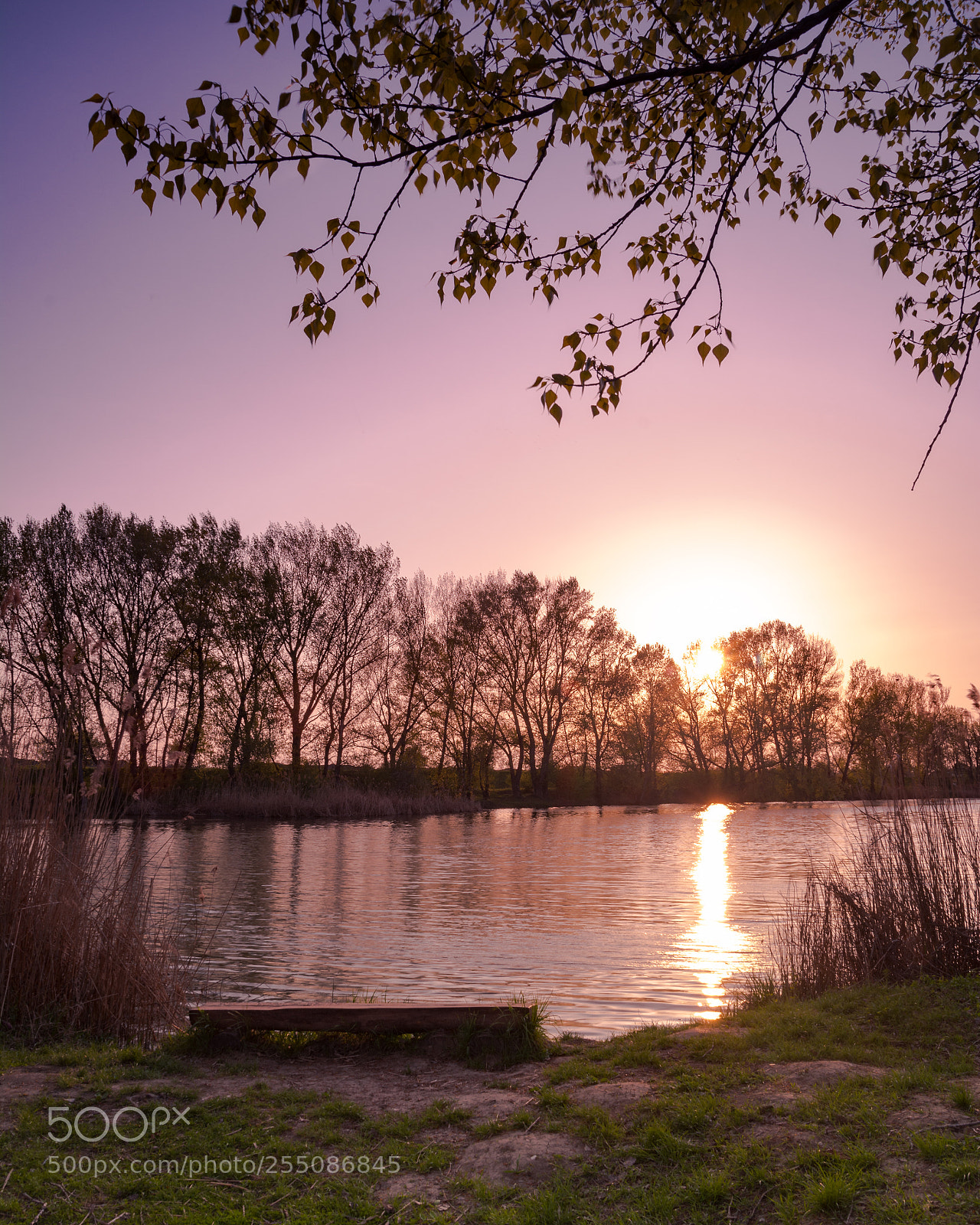 Nikon D7100 sample photo. Some peace and quiet photography