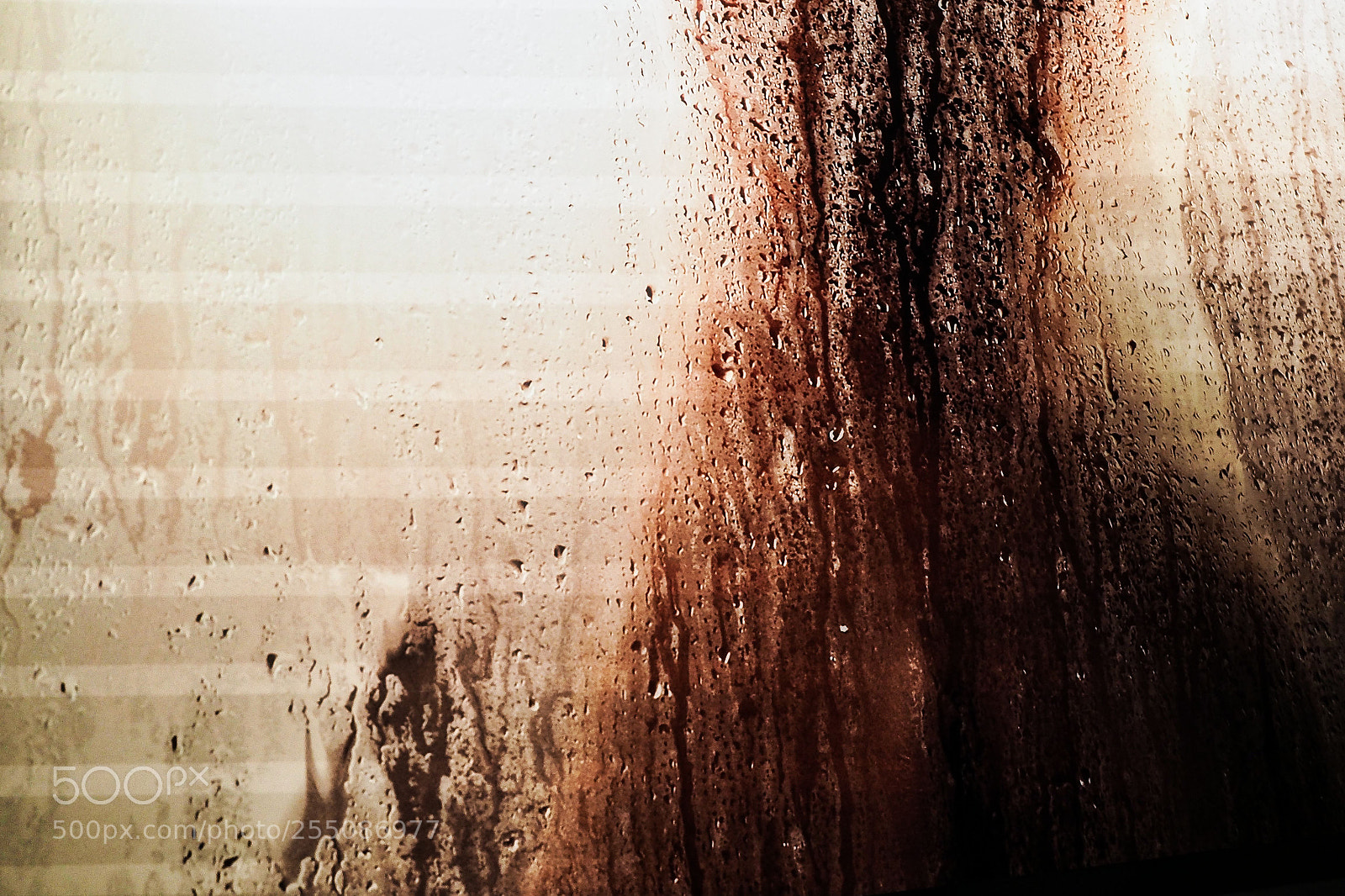 Olympus OM-D E-M5 II sample photo. Wet.... photography