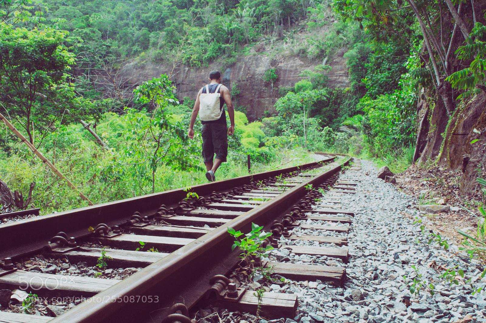 Nikon D5200 sample photo. Untitled photography