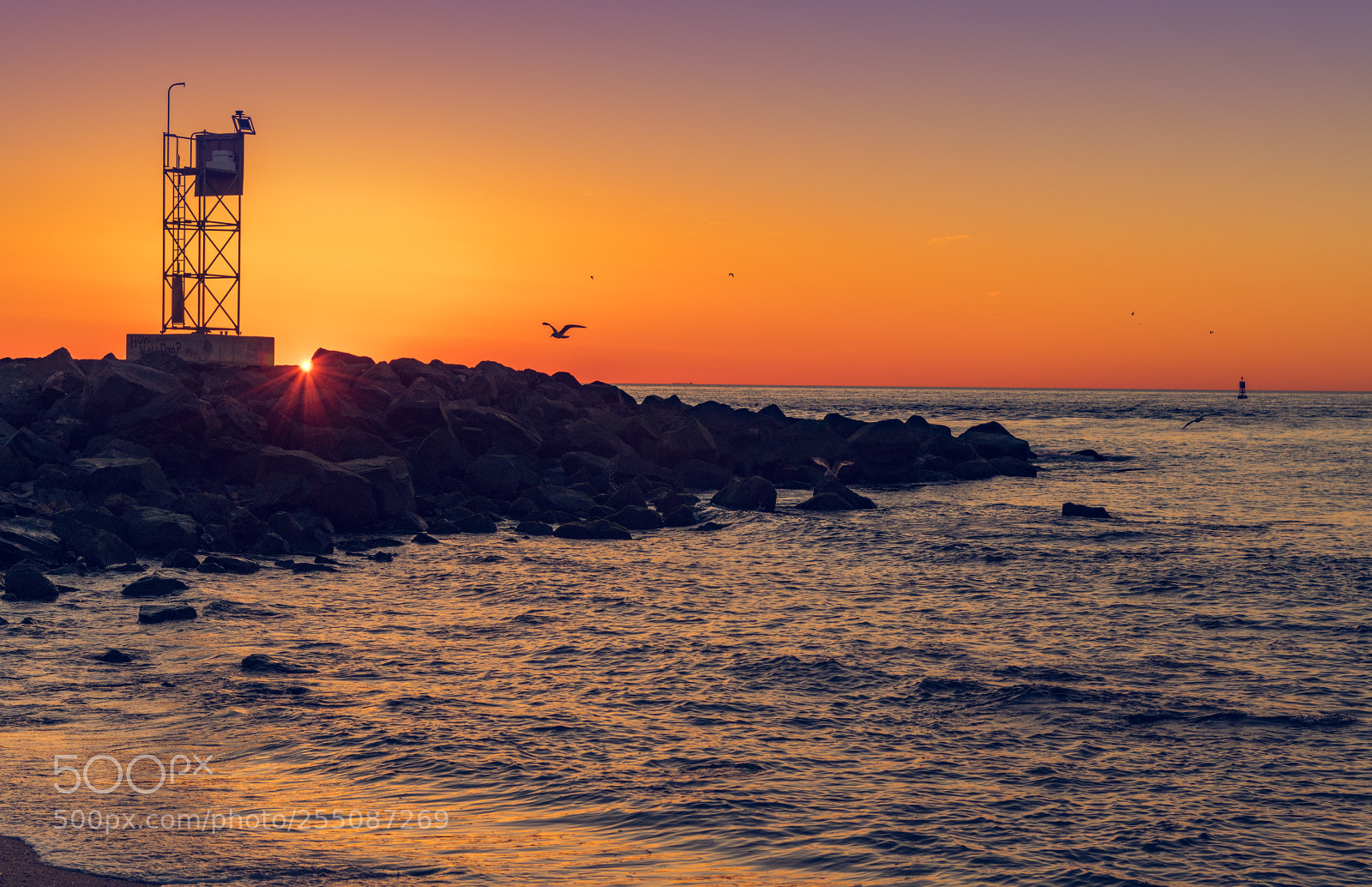 Nikon D850 sample photo. Soaring photography