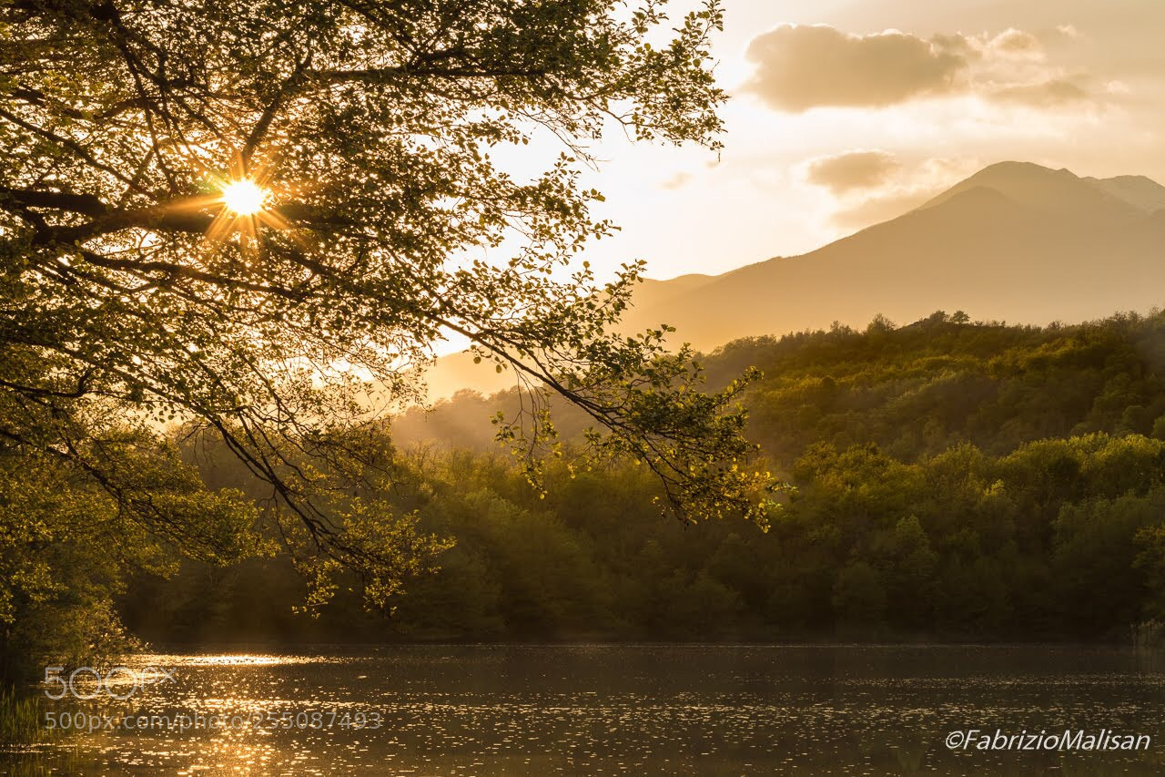 Canon EOS M5 sample photo. Sunset through the trees photography