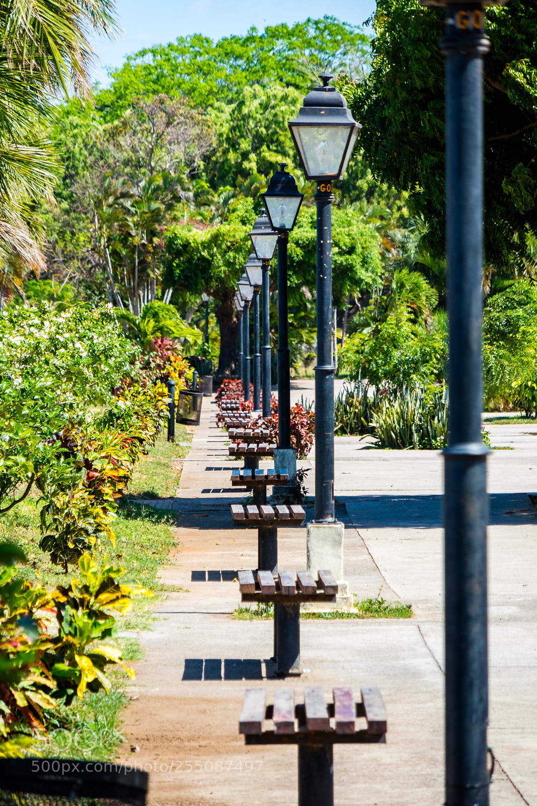 Canon EOS M3 sample photo. Park photography