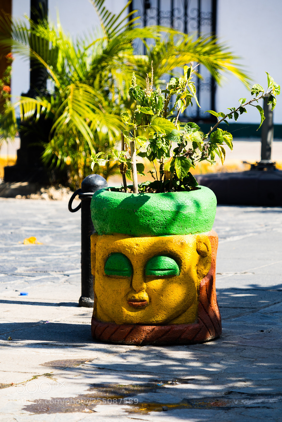 Canon EOS M3 sample photo. Flower pot photography