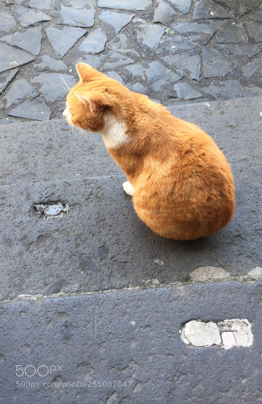 Apple iPhone 6 sample photo. Trip to umbria tuscany photography
