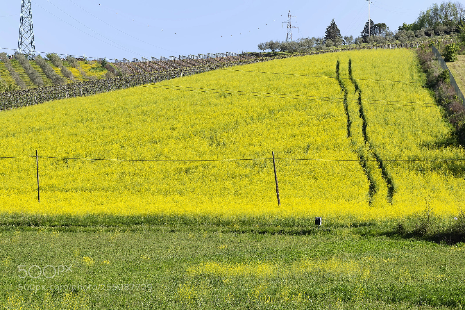 Nikon D7100 sample photo. Spring photography