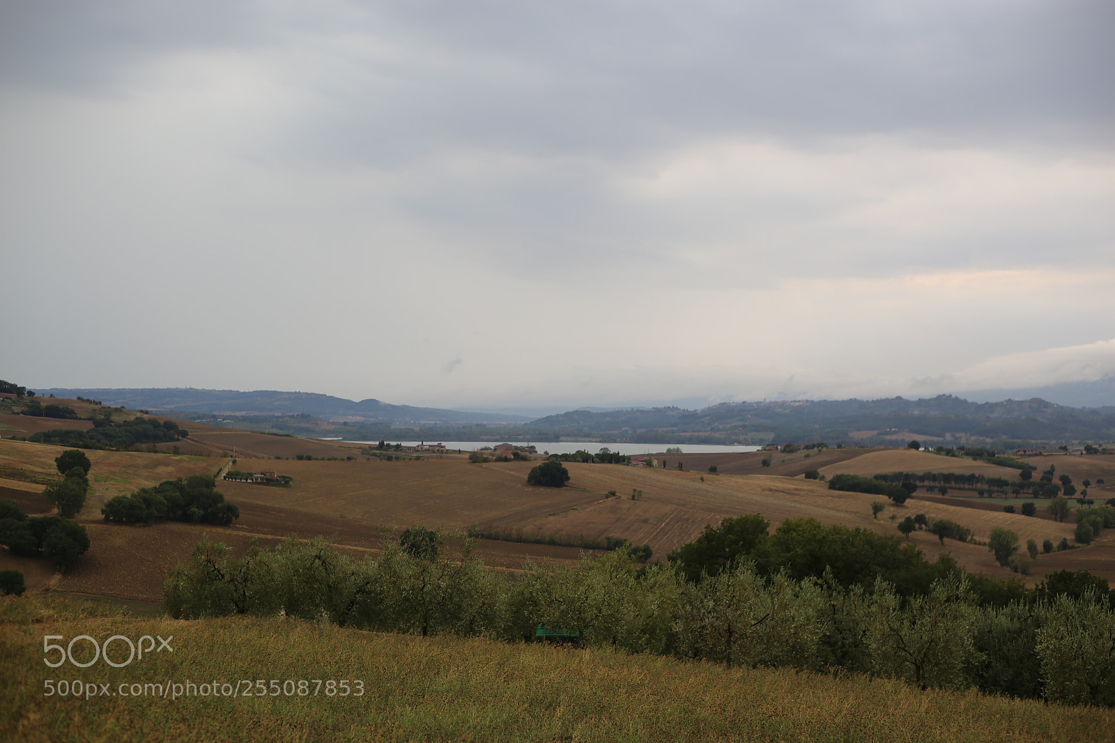 Canon EOS 6D + Canon EF 50mm F1.8 II sample photo. Trip to umbria tuscany photography