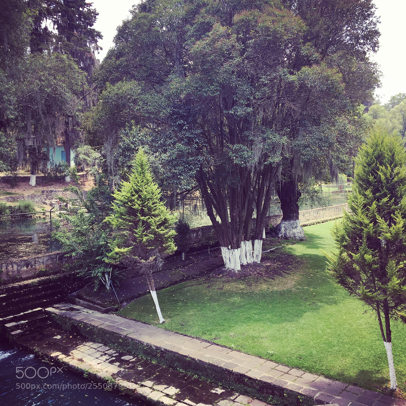 Apple iPhone 6s sample photo. Hacienda. photography