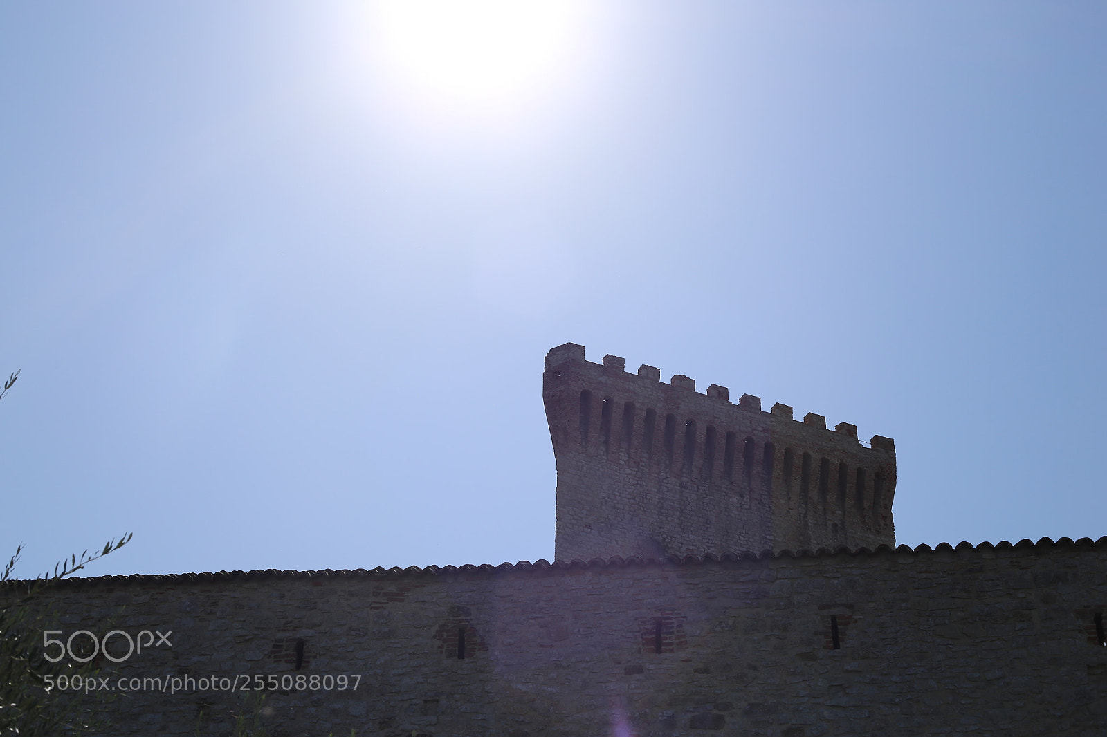 Canon EOS 6D + Canon EF 50mm F1.8 II sample photo. Trip to umbria tuscany photography