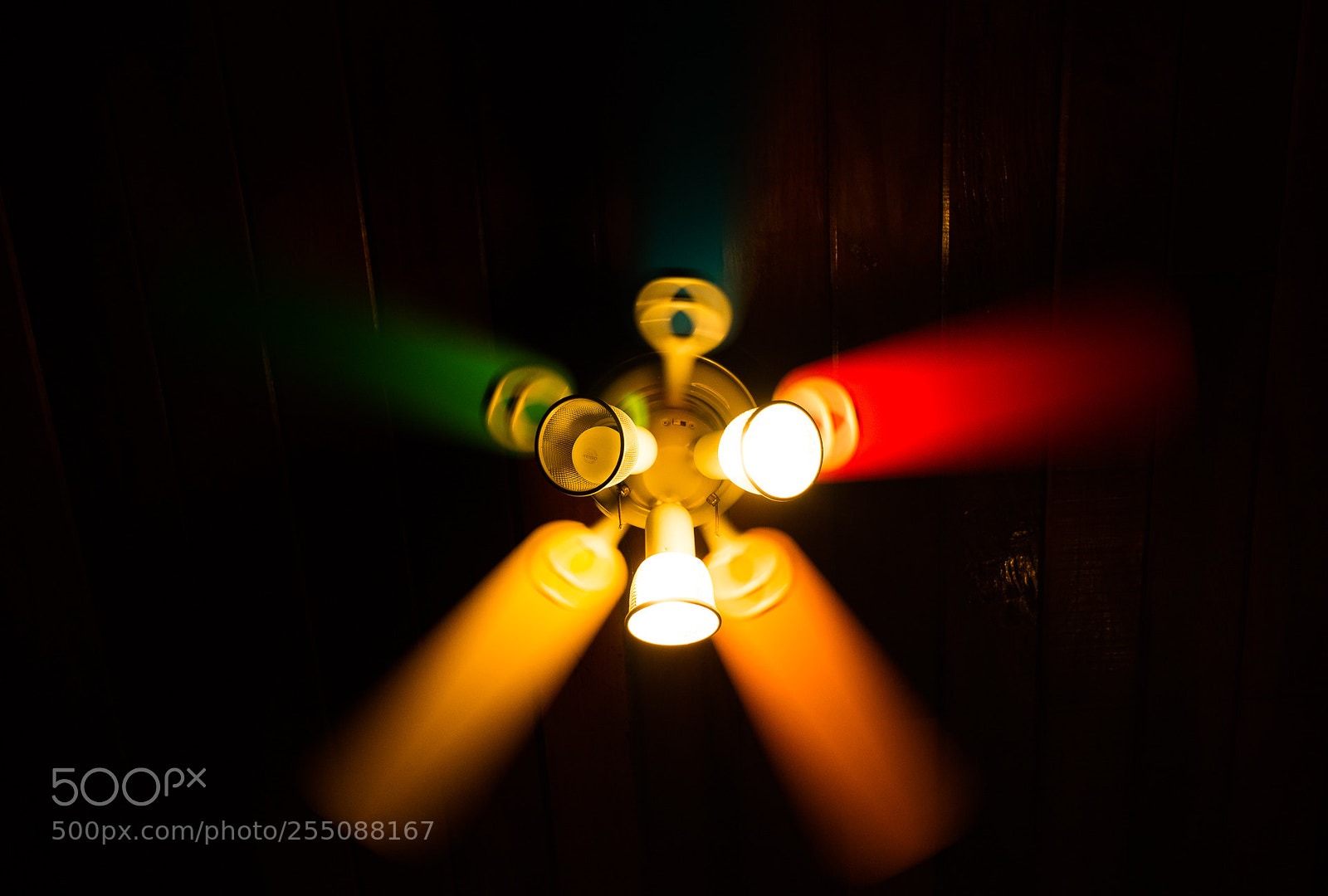 Canon EOS M3 sample photo. Fan photography