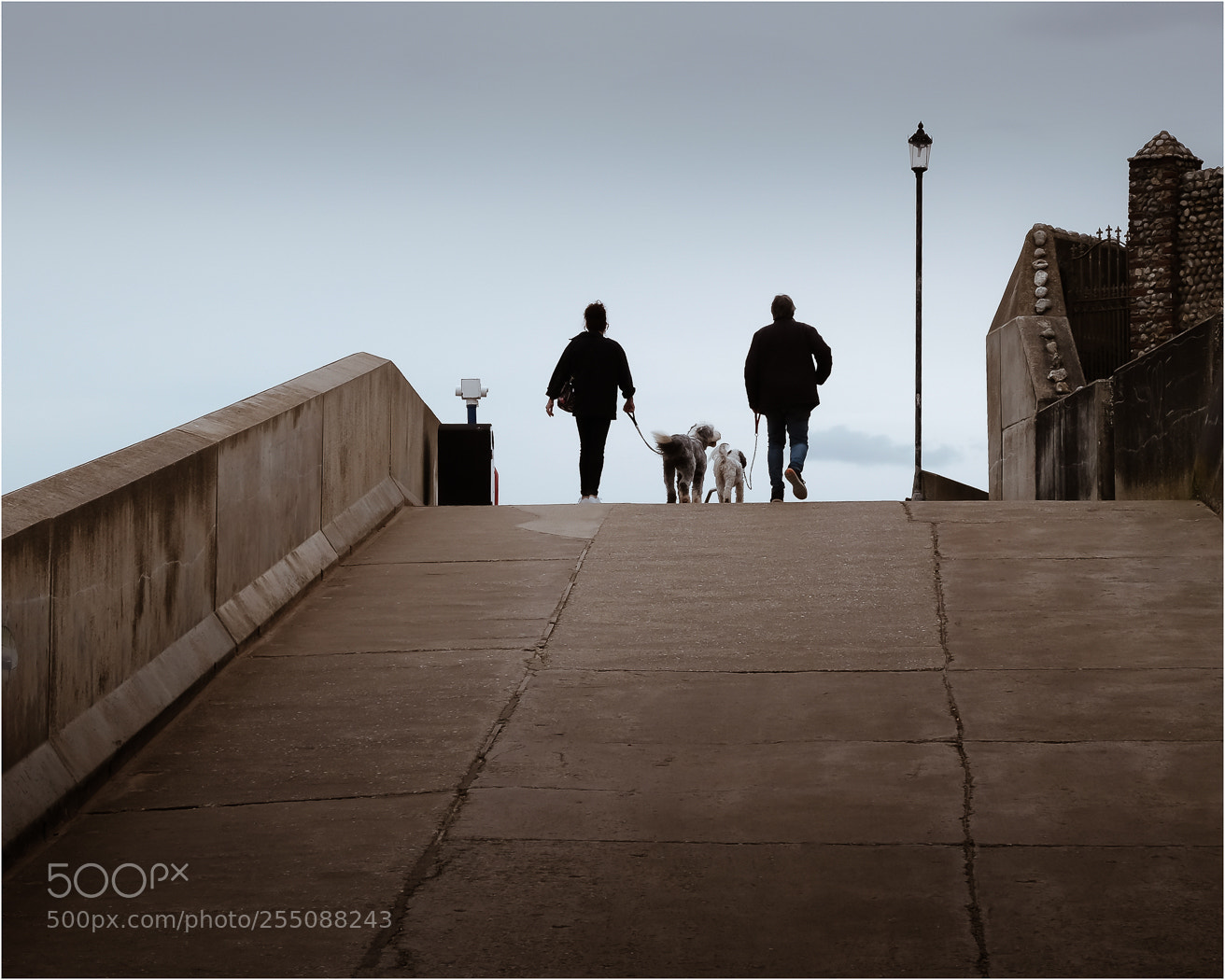 Fujifilm X-E3 sample photo. Walking the dogs ii photography