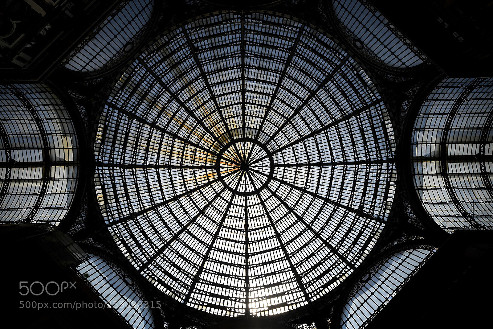 Nikon D850 sample photo. Untitled photography