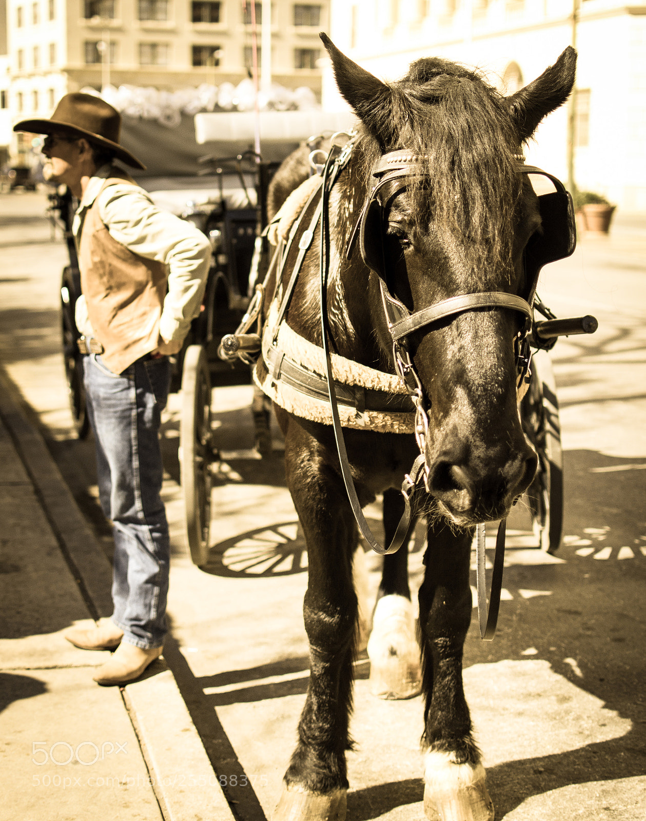 Nikon D3200 sample photo. At photography