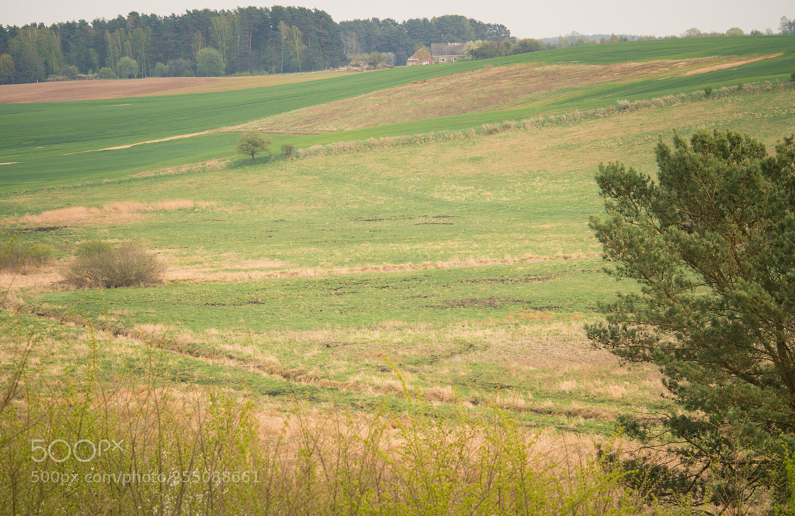Nikon D7000 sample photo. Warmia landscape photography