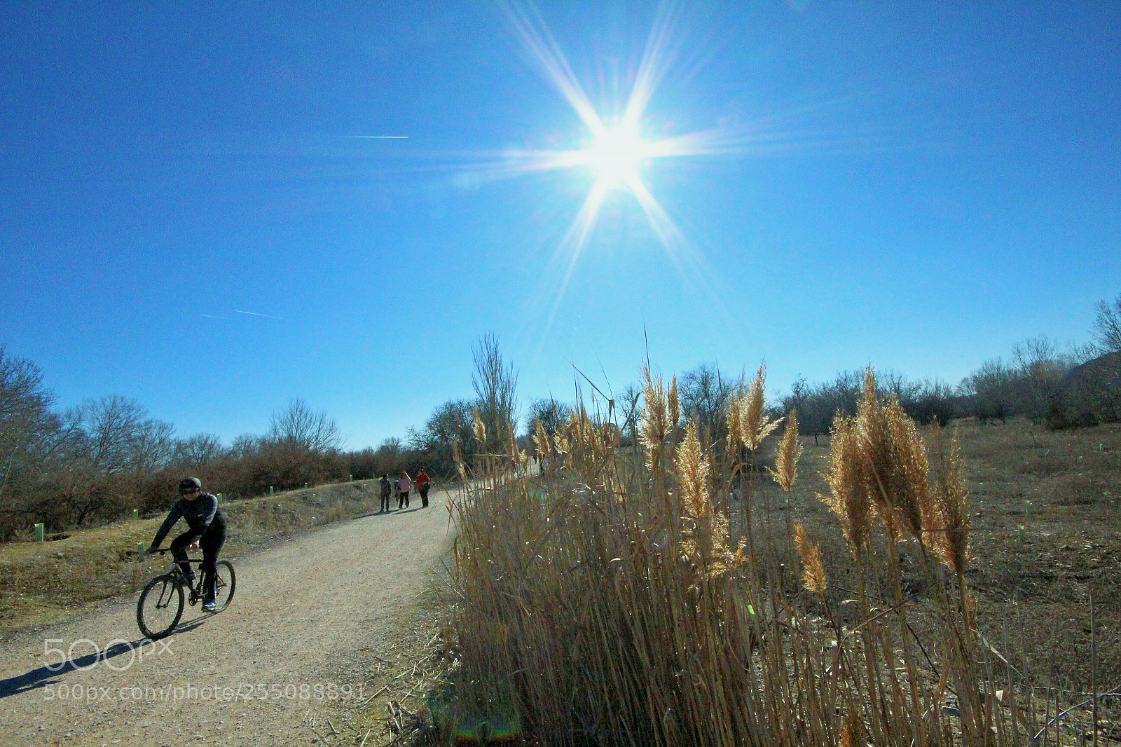 Canon EOS 700D (EOS Rebel T5i / EOS Kiss X7i) sample photo. El camino sigue. photography
