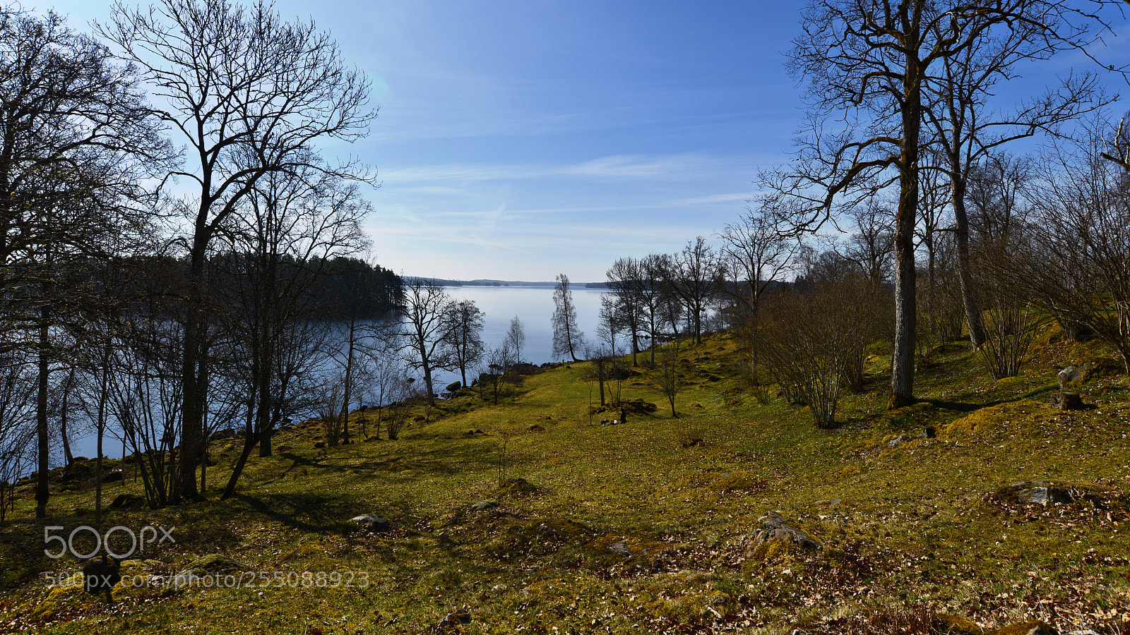 Nikon D800 sample photo. Höga kull photography