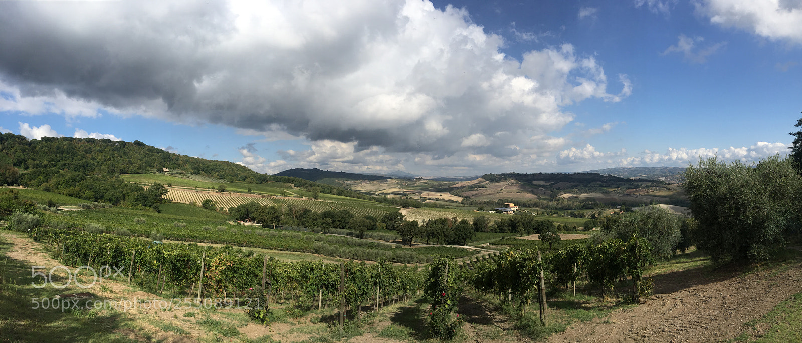 Apple iPhone 6 sample photo. Trip to umbria tuscany photography