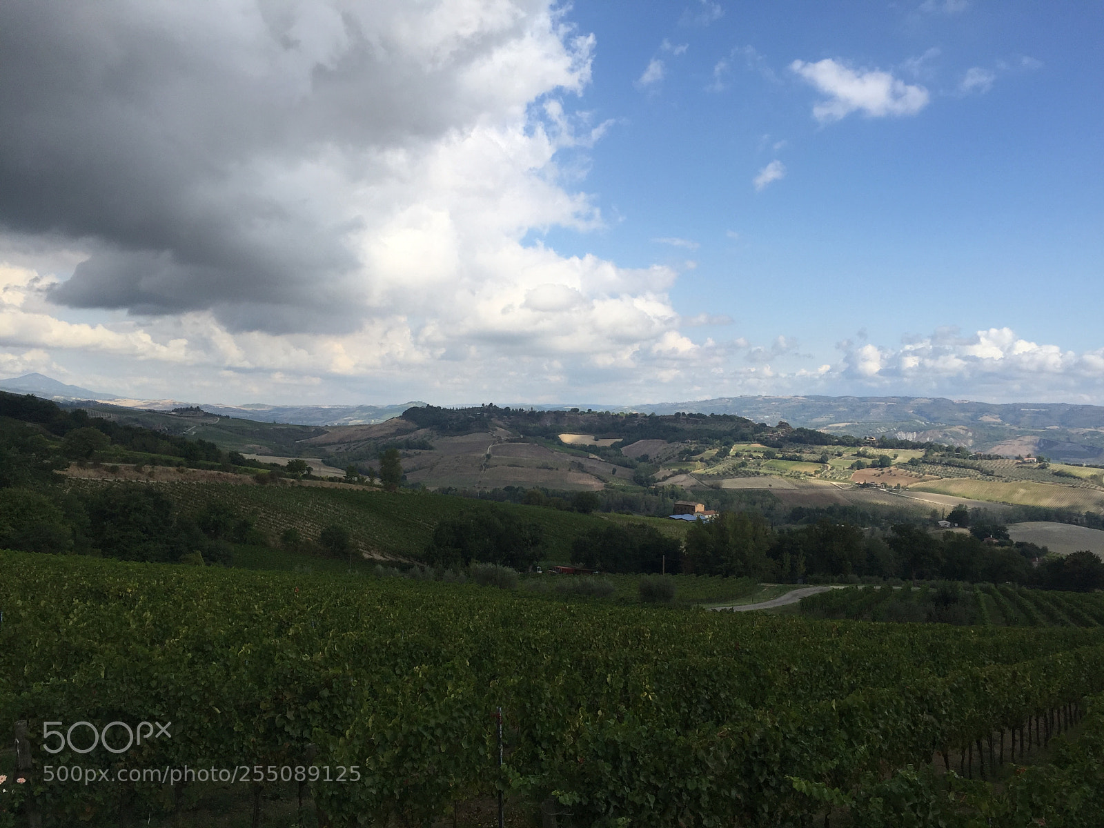 Apple iPhone 6 sample photo. Trip to umbria tuscany photography