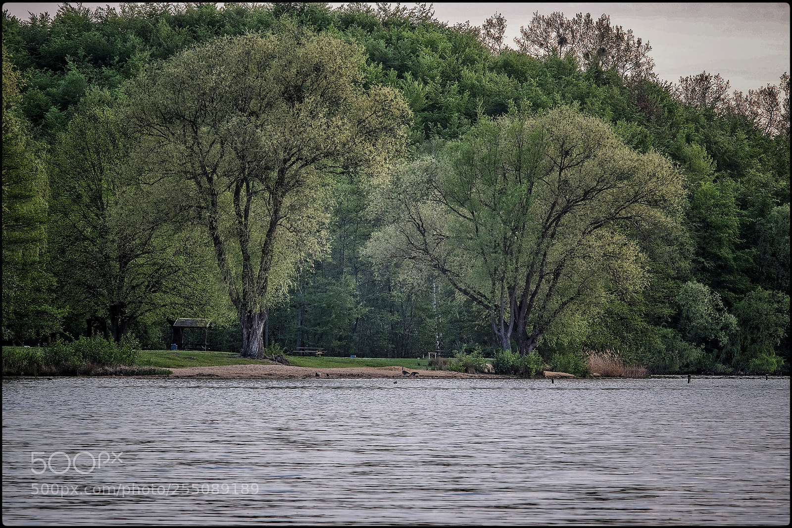 Fujifilm X-T1 sample photo. Two trees photography
