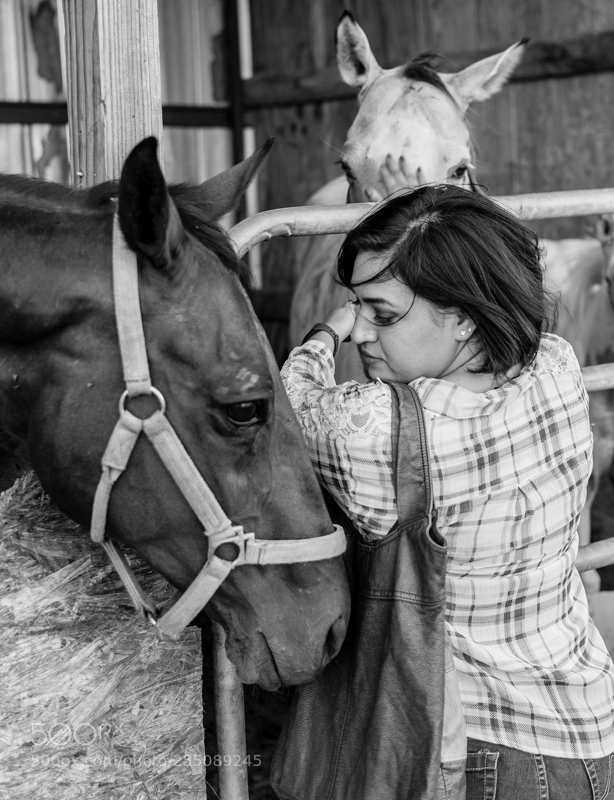 Nikon D3200 sample photo. Dsc photography