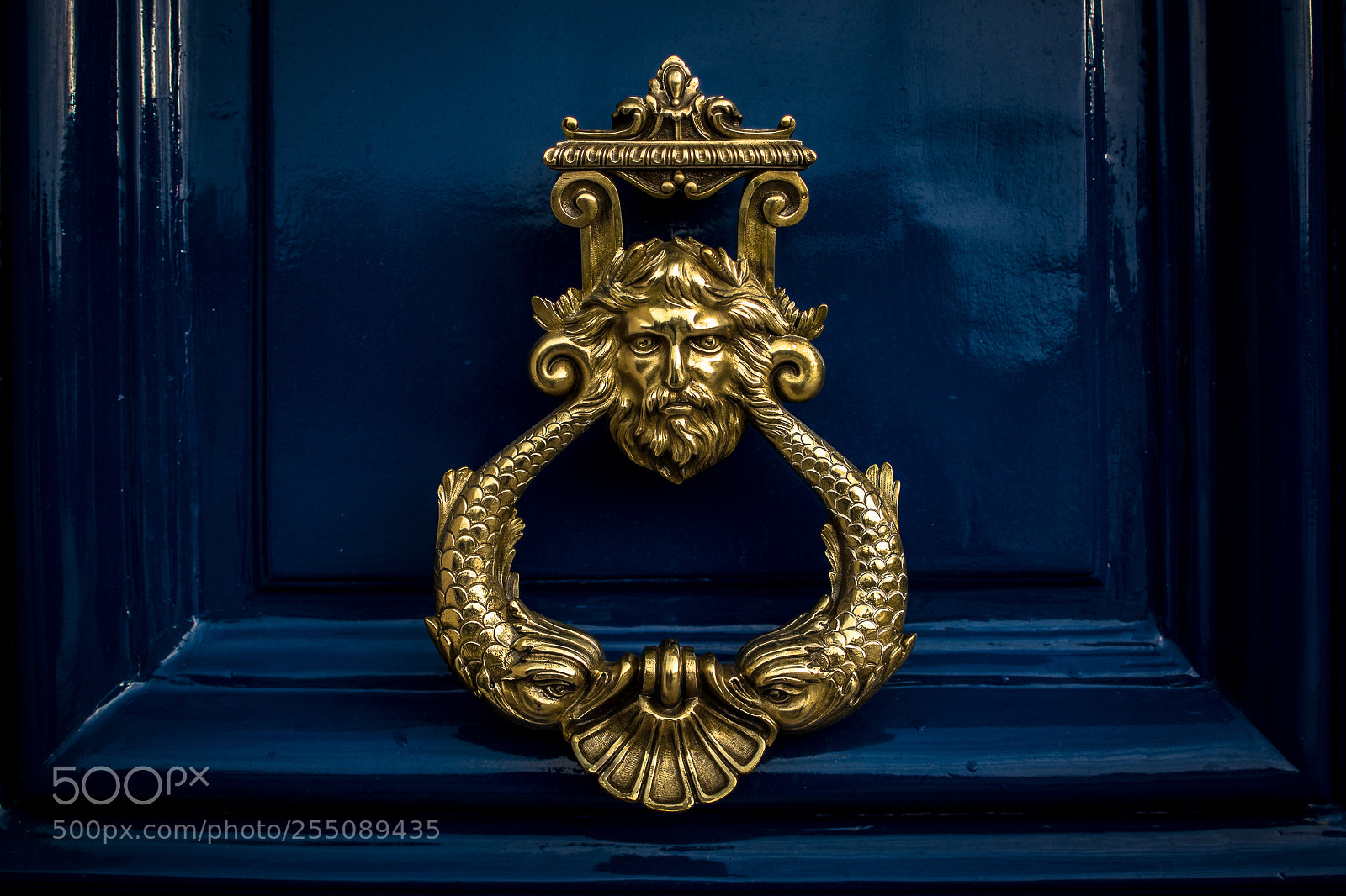 Nikon D5200 sample photo. Golden knocker photography