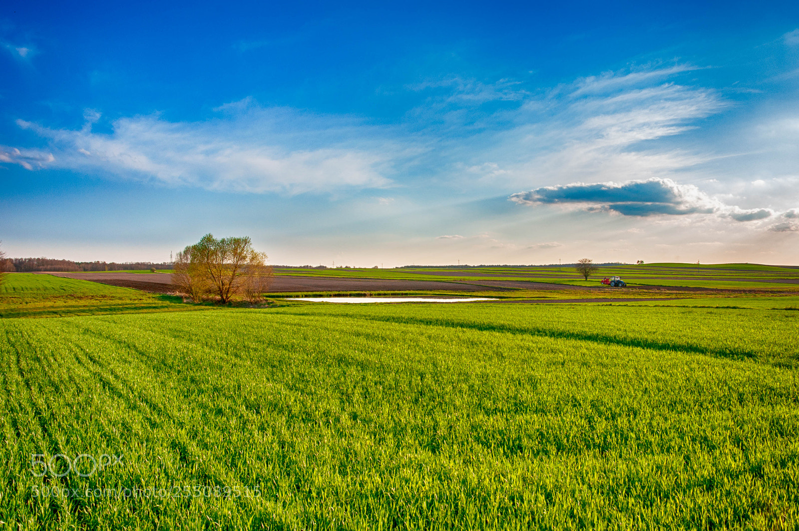 Nikon D90 sample photo. Spring in the field 2 photography